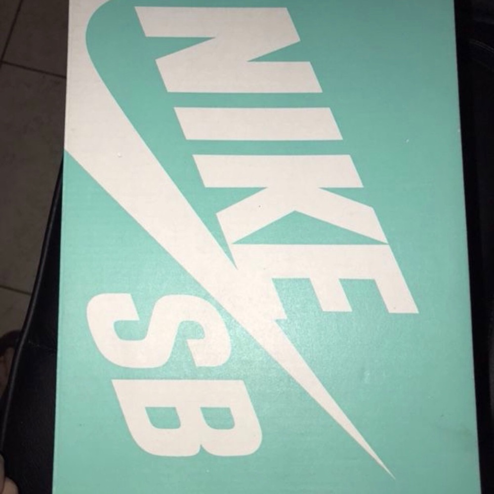Nike Sb brand new